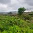  Land for sale in Guayaquil, Guayas, Guayaquil, Guayaquil, Guayas