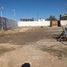  Grundstück zu verkaufen in Juarez, Chihuahua, Juarez, Chihuahua