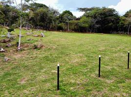  Land for sale in Floridablanca, Santander, Floridablanca