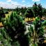  Land for sale in Muntinlupa City, Metro Manila, Muntinlupa City