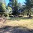  Terreno (Parcela) en venta en Chile, Los Angeles, Biobío, Biobío, Chile