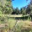  Terreno (Parcela) en venta en Chile, Los Angeles, Biobío, Biobío, Chile