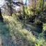  Terreno (Parcela) en venta en Chile, Los Angeles, Biobío, Biobío, Chile