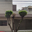 4 Schlafzimmer Haus zu verkaufen in Naucalpan De Juarez, Mexico, Naucalpan De Juarez, Mexico