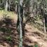  Terreno (Parcela) en venta en Pinal De Amoles, Querétaro, Pinal De Amoles