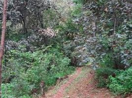  Terreno (Parcela) en venta en Pinal De Amoles, Querétaro, Pinal De Amoles