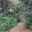  Land for sale in Pinal De Amoles, Queretaro, Pinal De Amoles