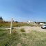  Land for rent in San Jeronimo Tecuanipan, Puebla, San Jeronimo Tecuanipan