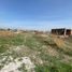  Land for rent in San Jeronimo Tecuanipan, Puebla, San Jeronimo Tecuanipan