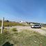  Land for rent in San Jeronimo Tecuanipan, Puebla, San Jeronimo Tecuanipan