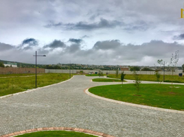  Terreno (Parcela) en venta en San Agustin Tlaxiaca, Hidalgo, San Agustin Tlaxiaca