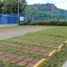 Terrain à louer à Tihuatlan, Veracruz, Tihuatlan, Veracruz