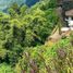  Terrain for sale in Kintamani, Bangli, Kintamani