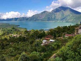  Land for sale in Kintamani, Bangli, Kintamani