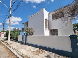 100 m² Office for rent in Merida, Yucatan, Merida