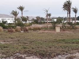  Terreno (Parcela) en venta en Pisco, Ica, Paracas, Pisco