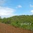  Land for sale in Klungkung, Bali, Nusa Penida, Klungkung