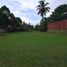  Land for sale in Northern Mindanao, Gingoog City, Misamis Oriental, Northern Mindanao