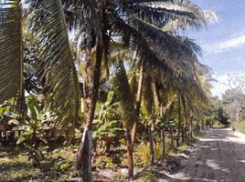  Terreno (Parcela) en venta en Centro, Tabasco, Centro, Tabasco