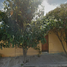 Maison 3 chambre à vendre à Allende, Guanajuato, Allende