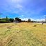  Land for rent in Las Pinas City, Metro Manila, Las Pinas City, Southern District, Metro Manila