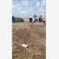  Land for rent in San Jeronimo Tecuanipan, Puebla, San Jeronimo Tecuanipan