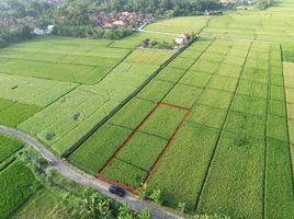  Land for sale in Kerambitan, Tabanan, Kerambitan