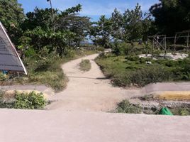  Land for sale in Santa Fe, Cebu, Santa Fe