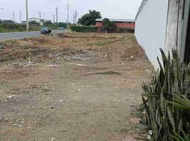  Land for rent in Daule, Guayas, Daule, Daule