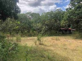  Land for sale in Batangas, Calabarzon, Rosario, Batangas