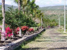  Terreno (Parcela) en venta en Tecozautla, Hidalgo, Tecozautla