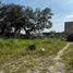  Land for sale in Tepoztlan, Morelos, Tepoztlan