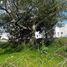  Land for sale in Tepoztlan, Morelos, Tepoztlan