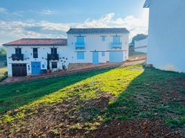  Terreno (Parcela) en venta en Barichara, Santander, Barichara