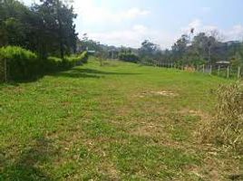  Terreno (Parcela) en venta en Narino, San Juan De Pasto, Narino