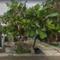  Casa en venta en Veracruz, Veracruz, Veracruz, Veracruz
