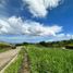  Terreno (Parcela) en venta en Cebu City, Central Visayas, Cebu City, Cebu, Central Visayas, Filipinas