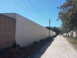 Terrain à vendre à Isla Mujeres, Quintana Roo, Isla Mujeres