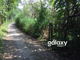  Land for sale in Bangli, Bali, Kintamani, Bangli