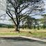  Terreno (Parcela) en venta en Calamba City, Calabarzon, Calamba City, Laguna