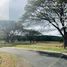  Terreno (Parcela) en venta en Calamba City, Calabarzon, Calamba City, Laguna