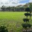  Land for sale in Tlalixcoyan, Veracruz, Tlalixcoyan