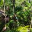 8 Schlafzimmer Haus zu verkaufen in Cozumel, Quintana Roo, Cozumel, Quintana Roo