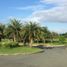 Terrain à vendre à Calamba City, Calabarzon, Calamba City