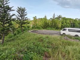  Grundstück zu verkaufen in Cebu City, Central Visayas, Cebu City, Cebu, Central Visayas, Philippinen