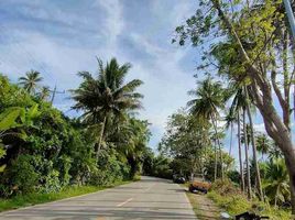  Grundstück zu verkaufen in Cebu, Central Visayas, Daanbantayan, Cebu, Central Visayas