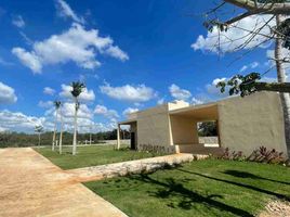  Grundstück zu verkaufen in Merida, Yucatan, Merida