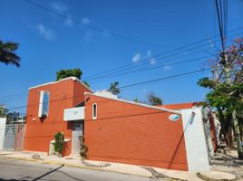 1 Bedroom Apartment for rent in Cozumel, Quintana Roo, Cozumel, Quintana Roo