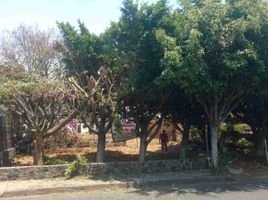  Grundstück zu verkaufen in Huitzilac, Morelos, Huitzilac, Morelos