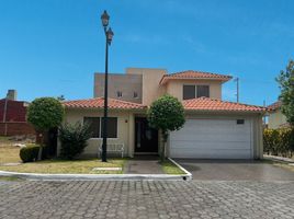 4 Habitación Apartamento en venta en Toluca, México, Toluca